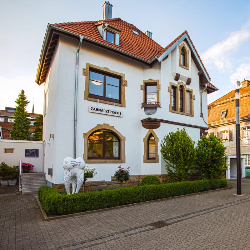 Bildvorschau
